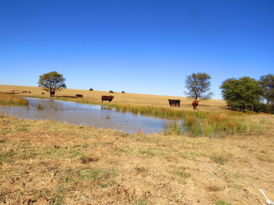 Commercial Property for Sale in Klerksdorp Rural North West